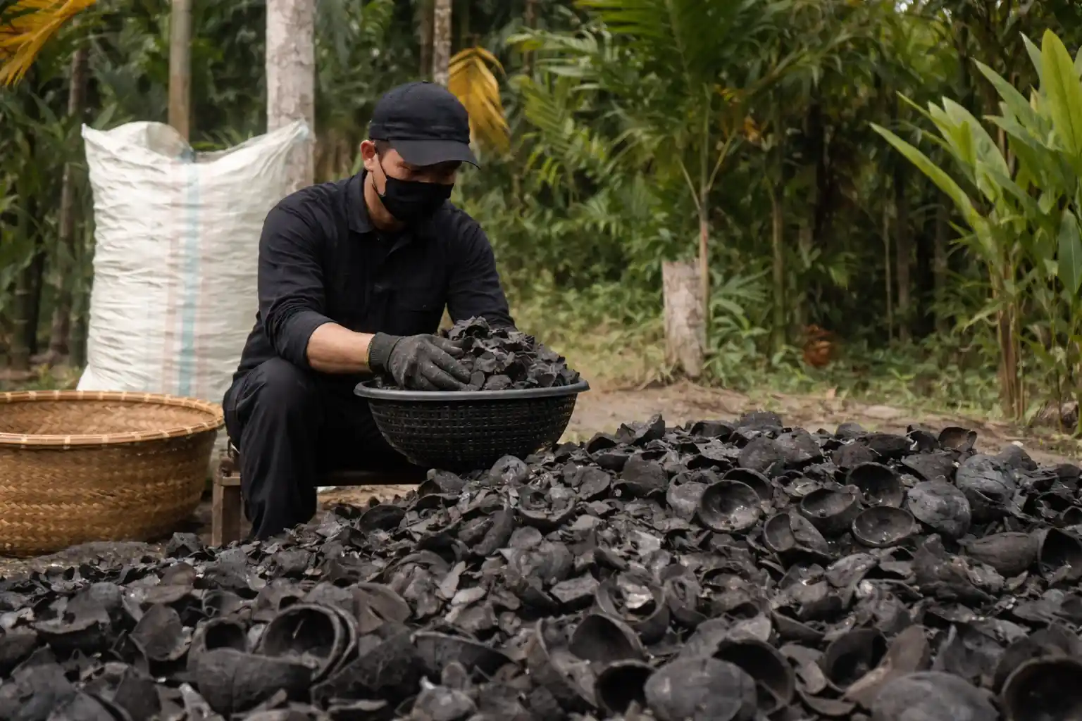 Coconut shell charcoal