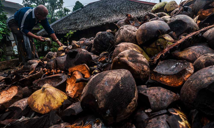 renewable energy from coconut waste